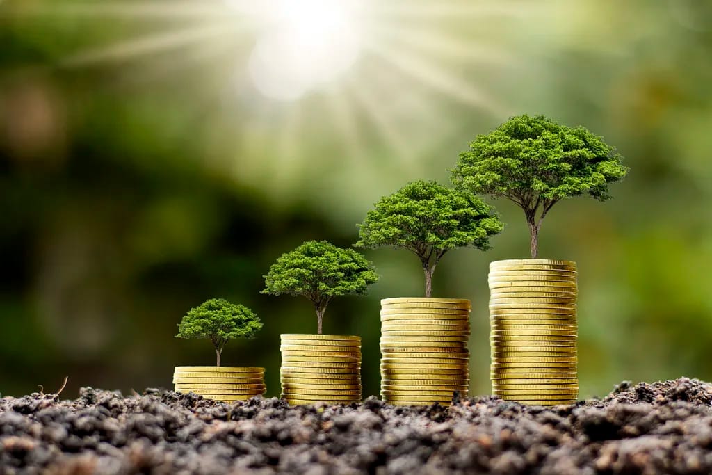Capital Management